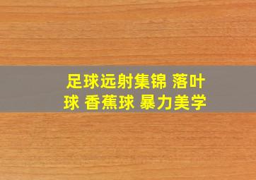 足球远射集锦 落叶球 香蕉球 暴力美学